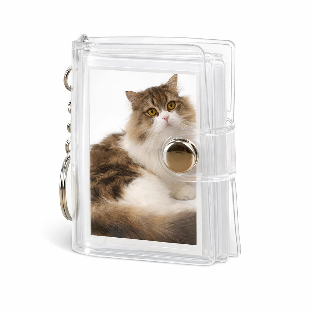 Cat Paw ·  Bodhi Seeds  Fidget Bracelet