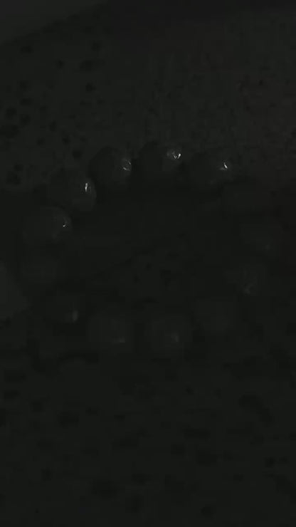 Moonborne · The Lunar Testament